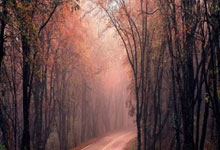 潘谈国足 ｜ 国足六月份的比赛还有希望吗？.