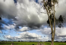 潘谈国足 ｜ 国足六月份的比赛还有希望吗？.