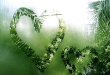 澳网夺冠，辛纳拿下第三个大满贯环球时报.