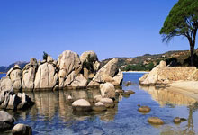 九游会：东北新闻网：大连英博与球衣胸前广告赞助商犀旺完成签约.